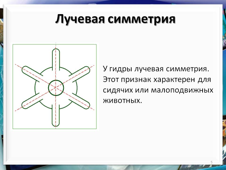 Кракен купить гашиш