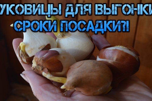 Кракен даркнет зеркало