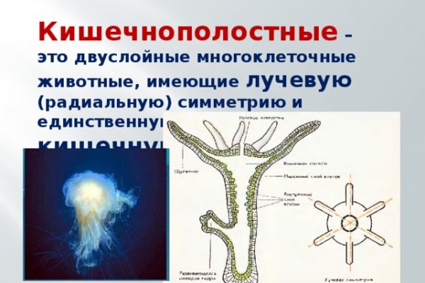 Кракен новый сайт